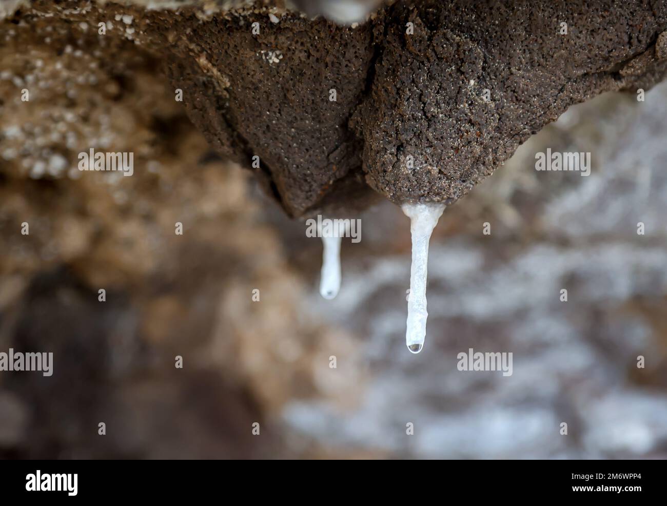 On a rocky outcrop on the coast, small stalactites are formed by mineral-rich water. Stock Photo