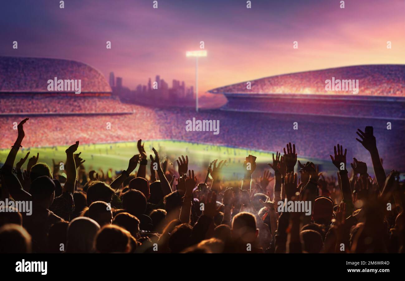 Football or soccer fans at a game in a stadium Stock Photo Alamy