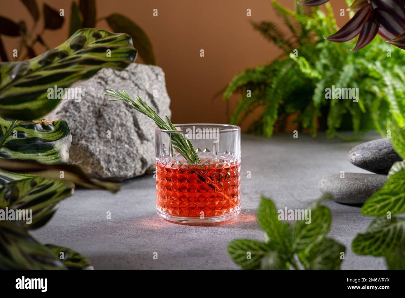 Tropical rum Jungle Bird cocktail. Jungle green background with plants