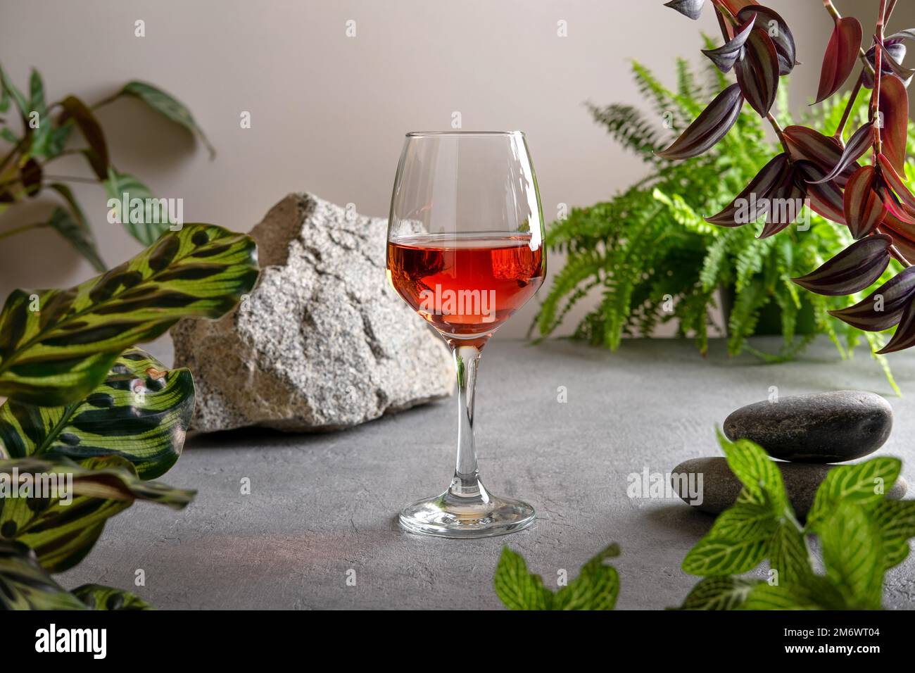 Tropical rum Jungle Bird cocktail. Jungle green background with plants