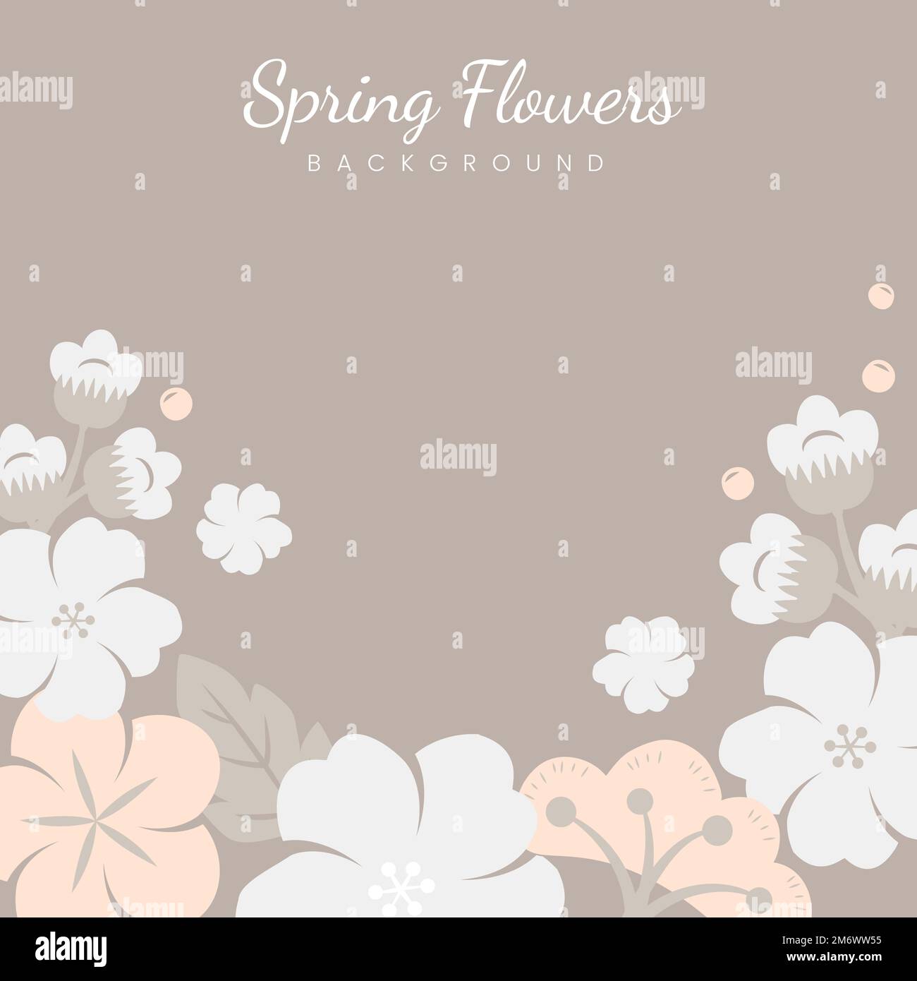 Beige spring flowers border background vector Stock Vector