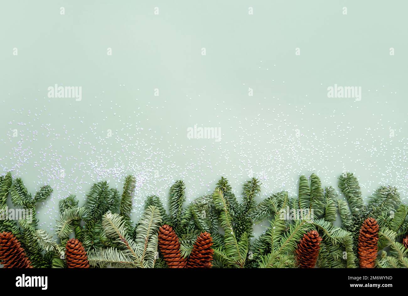 Christmas holiday background with copy space for text. Fir tree ...