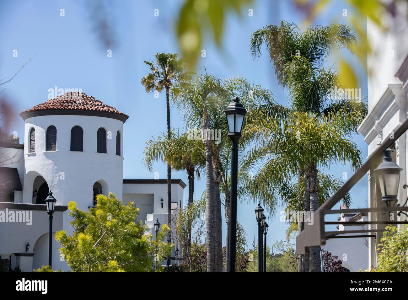 Palm framed view of downtown Costa Mesa, California, USA. Stock Photo