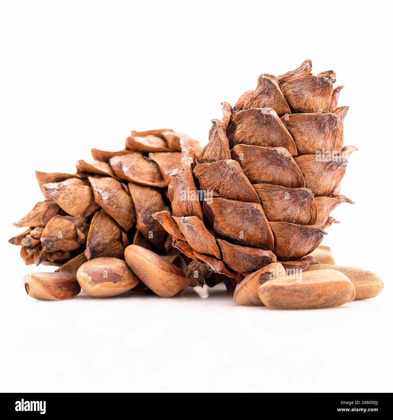 Close up pine nuts and pine cone isolated on white background. Stock Photo
