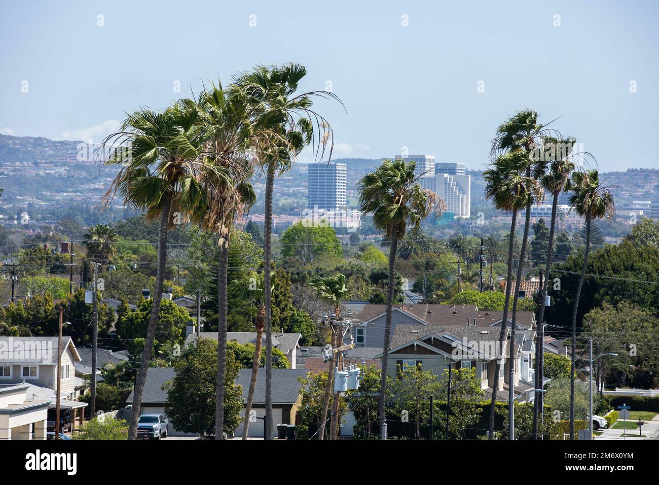 Palm framed view of downtown Costa Mesa, California, USA Stock Photo