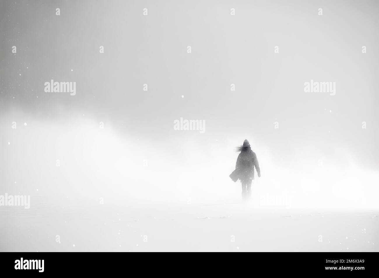 Person walking through winter snow storm: Generative AI. Stock Photo