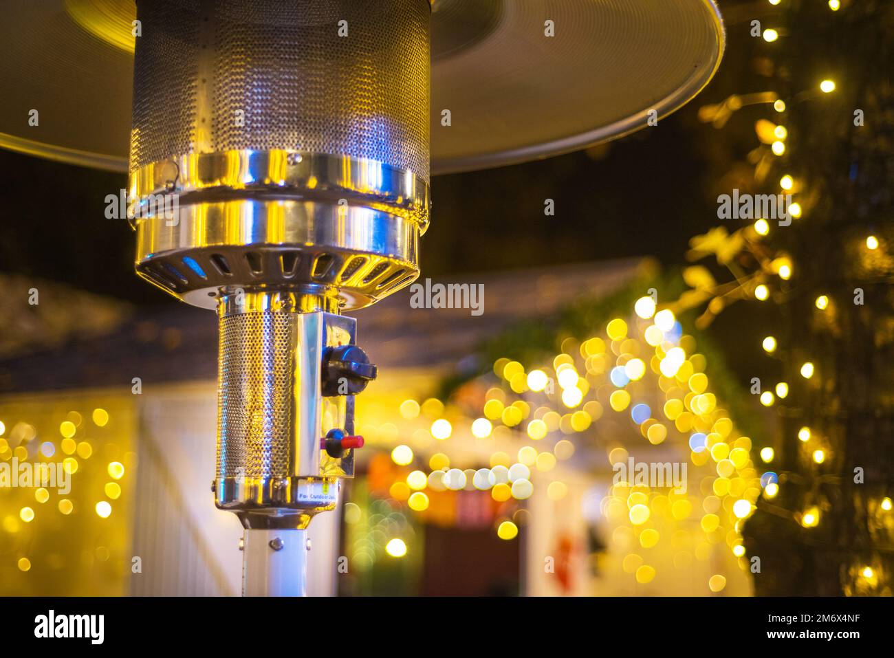 Design stainless steel metal gas burning indoor patio heater with