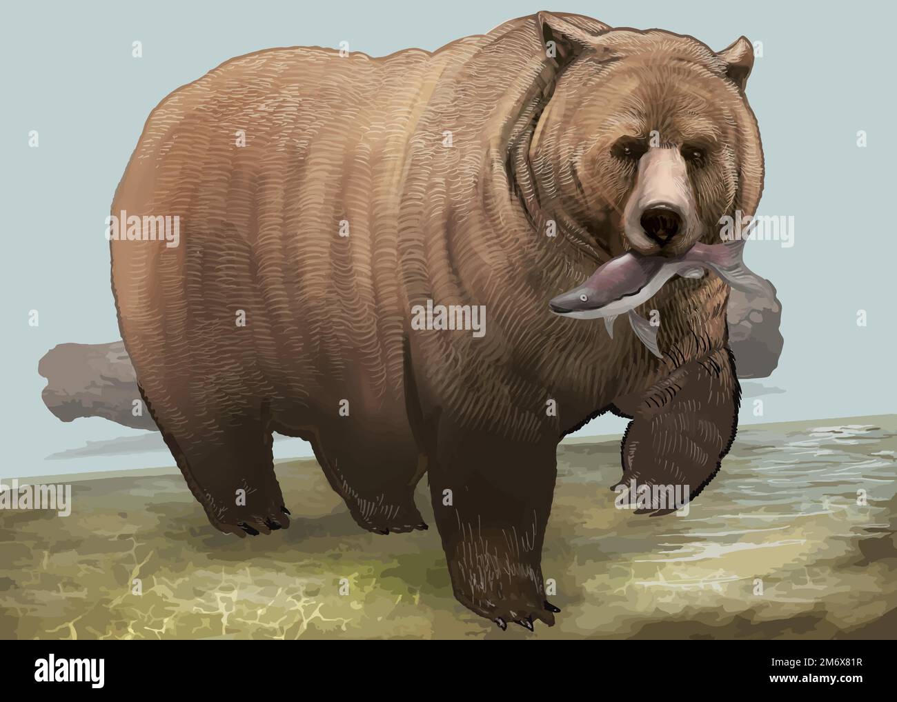 Grizzly bear with fish in his mouth vector Stock Vector