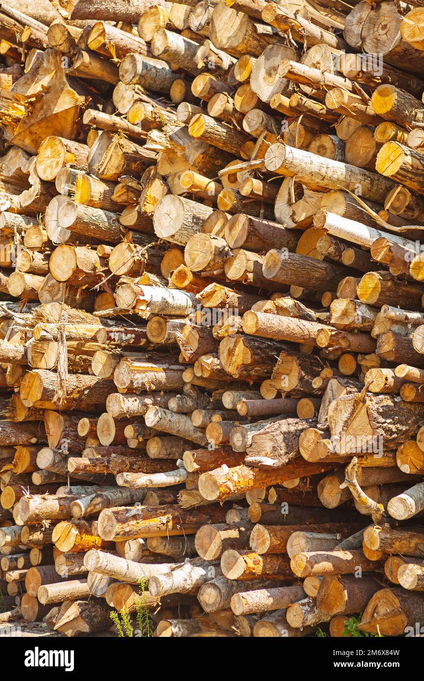 background pile of tree trunks Stock Photo - Alamy
