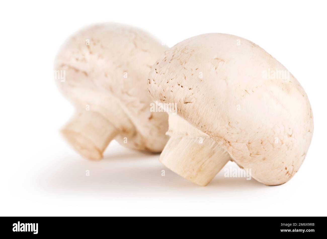 Champignons image hi-res stock photography and images - Alamy