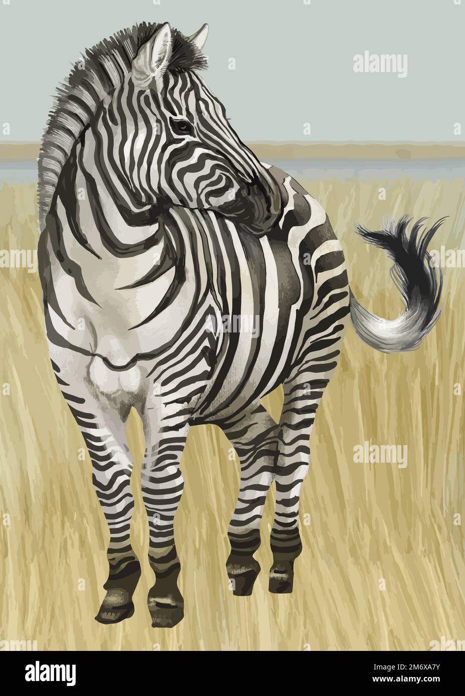 Zebra out in the wild vector Stock Vector Image & Art - Alamy