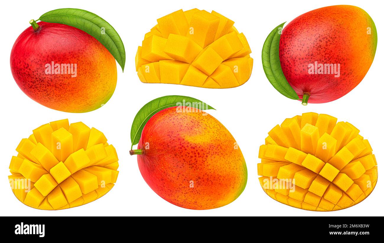 Mango fruits isolated on white background, collection Stock Photo