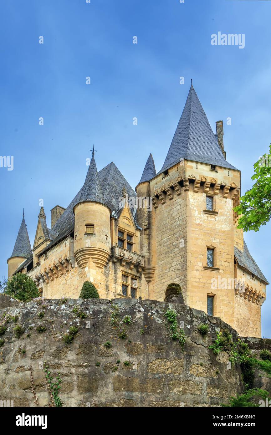 Chateau de Clerans, Saint-Leon-sur-Vezere, France Stock Photo