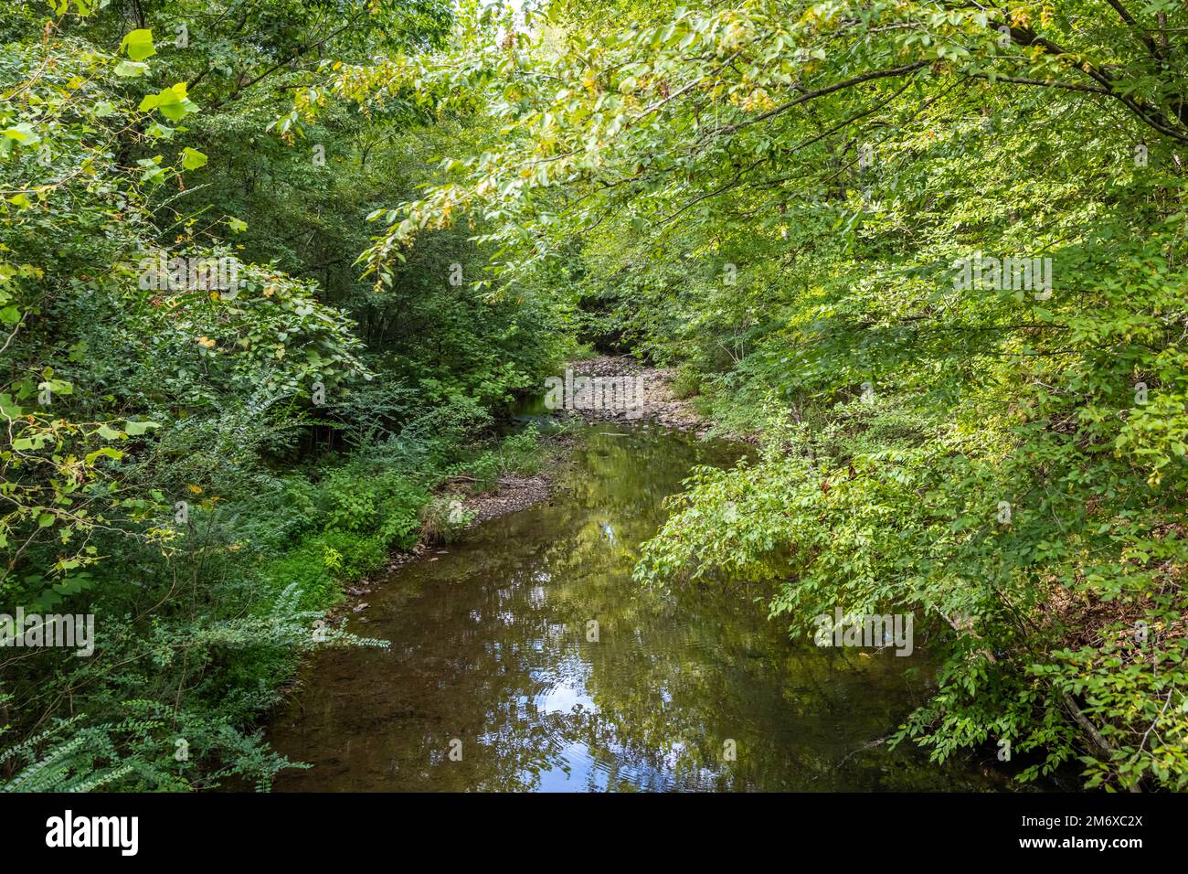 An overlooking landscape view in Hot Springs, Arkansas Stock Photo - Alamy