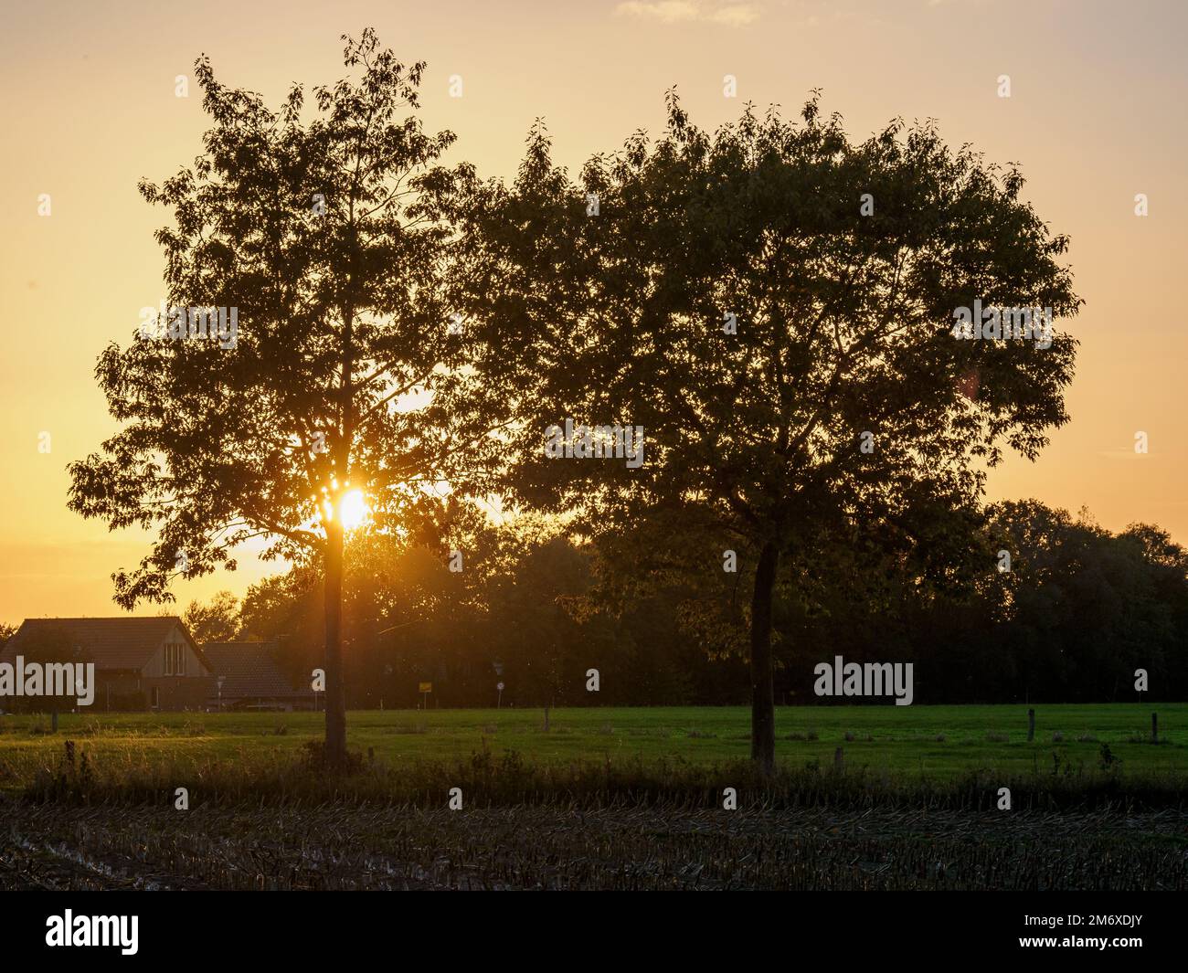 Sundown at autumn time in westphalia Stock Photo