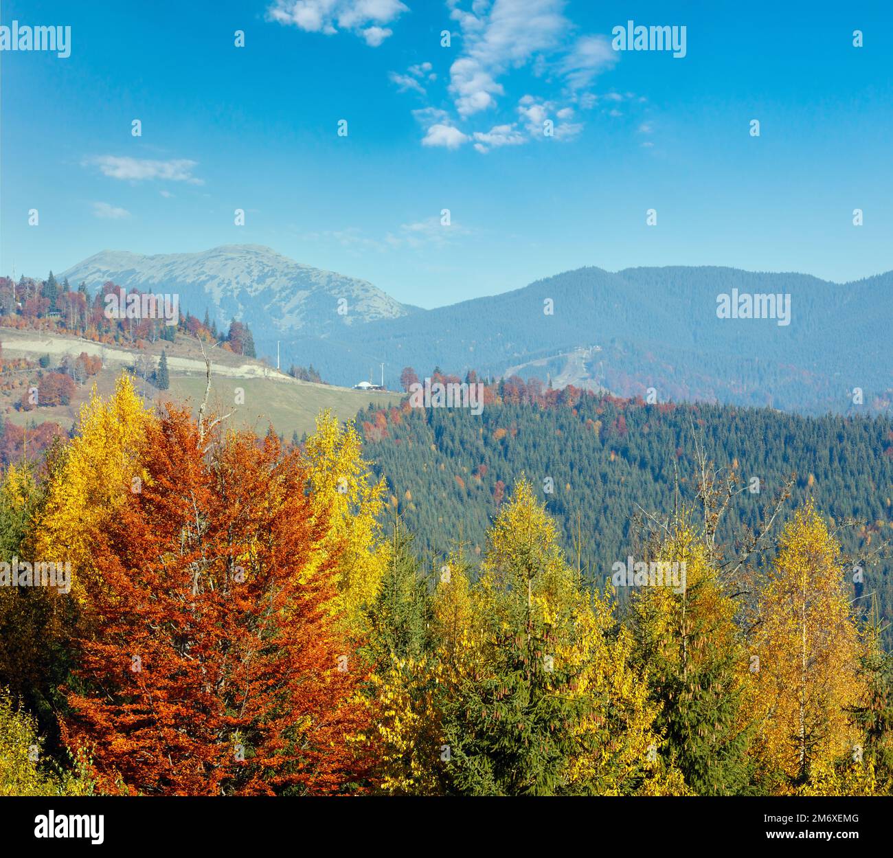 Morning autumn slopes (with colorful trees) of Carpathians (Yablunytskyj Pass, Ivano-Frankivsk oblast, Ukraine). View on Gorgany Stock Photo