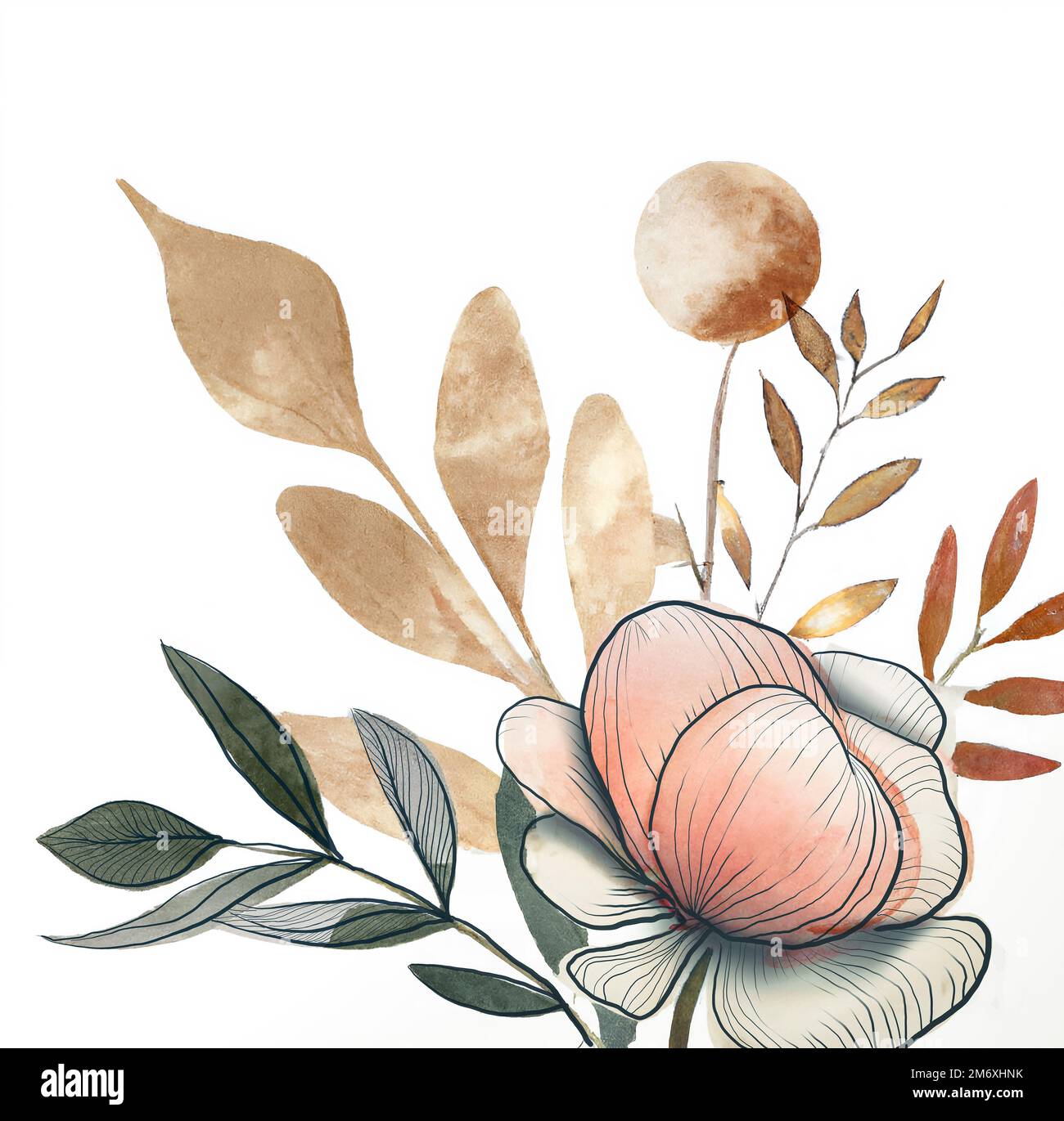 Abstract Watercolor Botanical Line Art Background Stock Photo Alamy