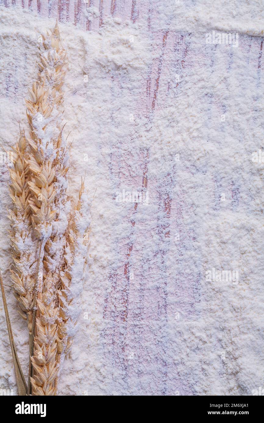 copyspace image ears of wheat on white natural flour food and drink