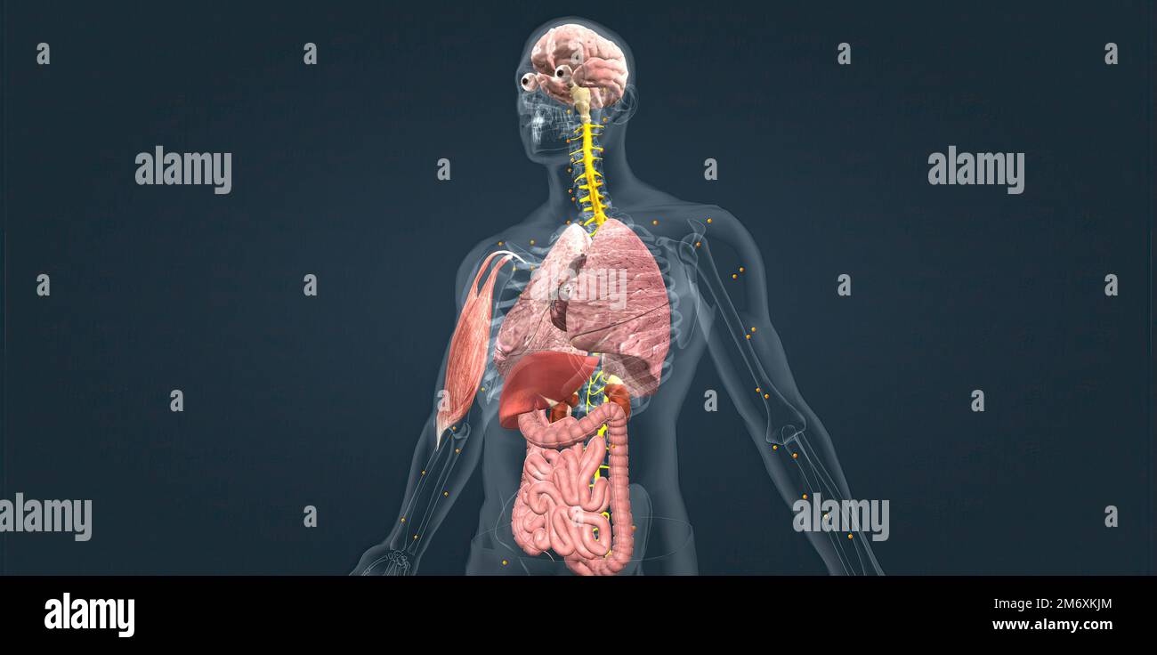 Body signal hi-res stock photography and images - Alamy