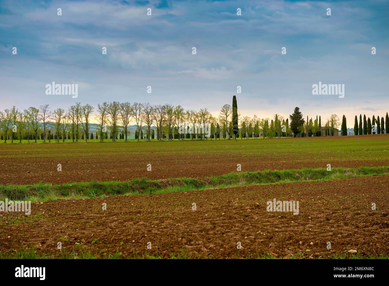 Tuscan scenic hi-res stock photography and images - Alamy