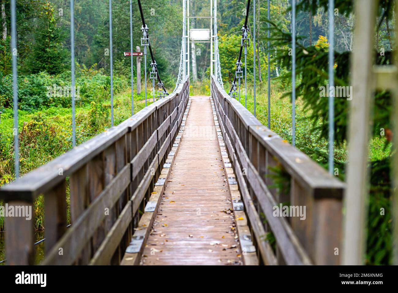 pedestrian suspension bridge over river in forest Stock Photo - Alamy