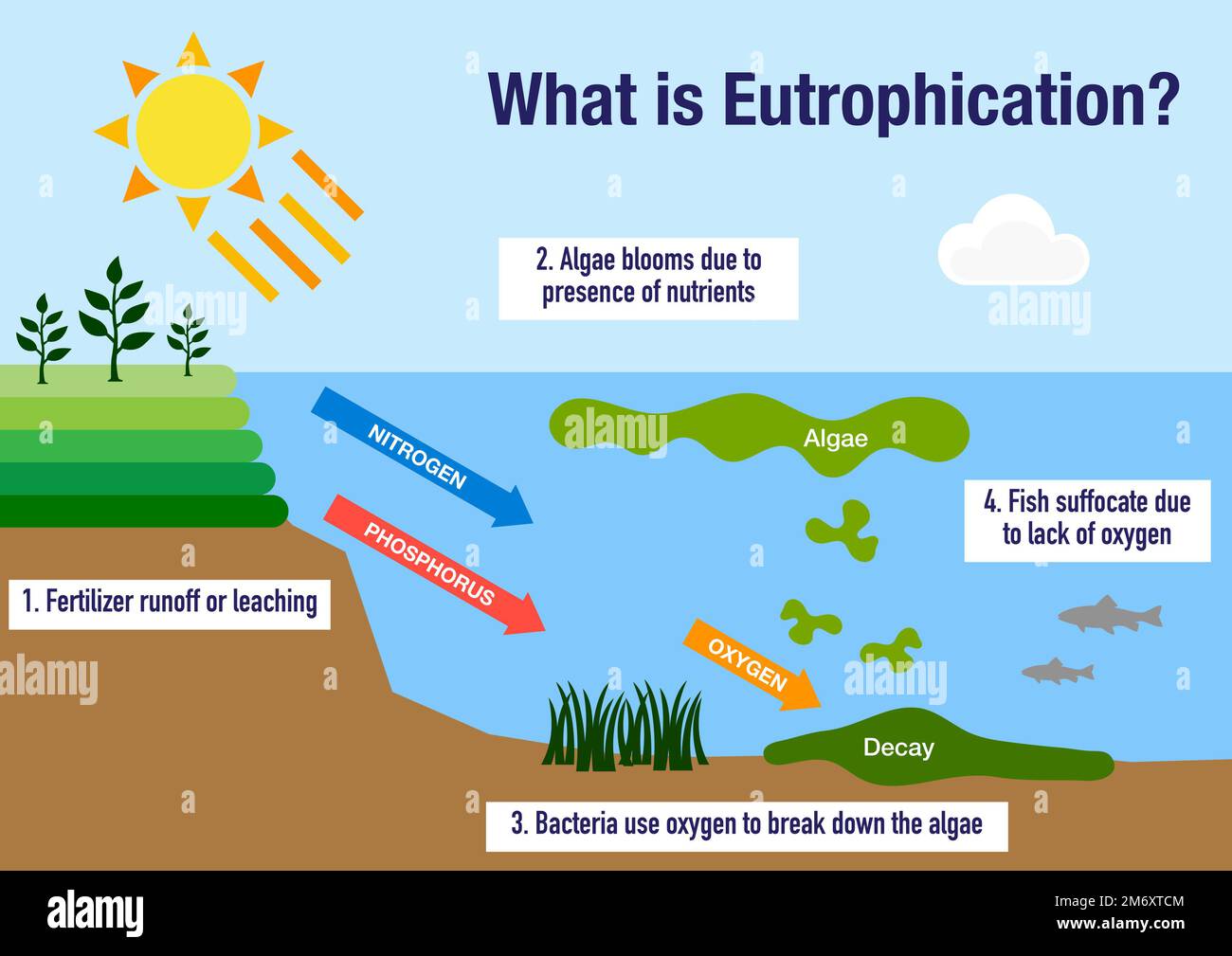 The eutrophication process explained Stock Photo