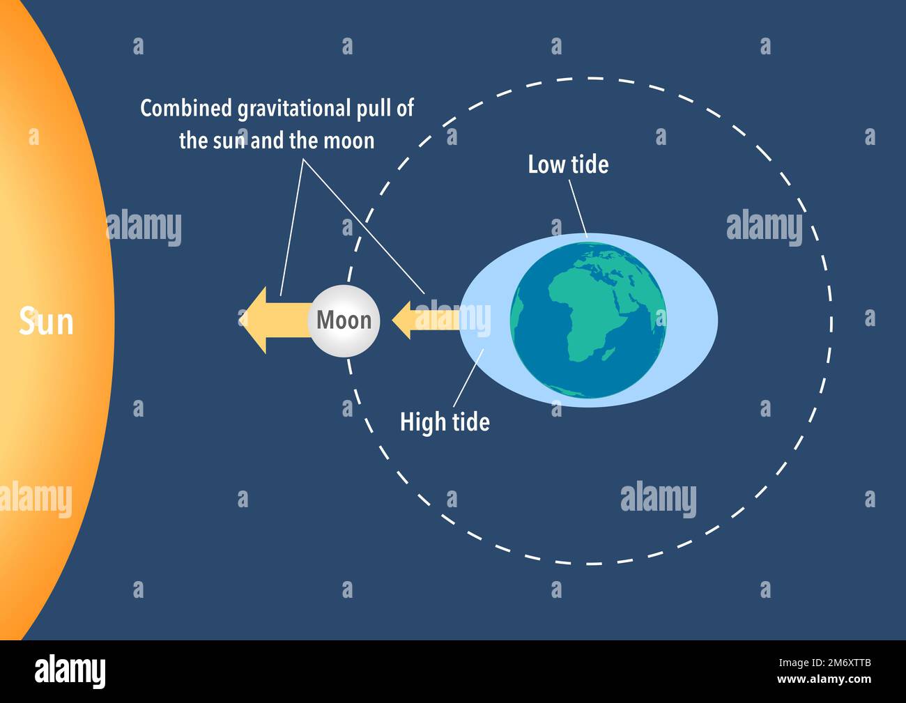 How sea tides are caused by the gravitational pull of the moon and the