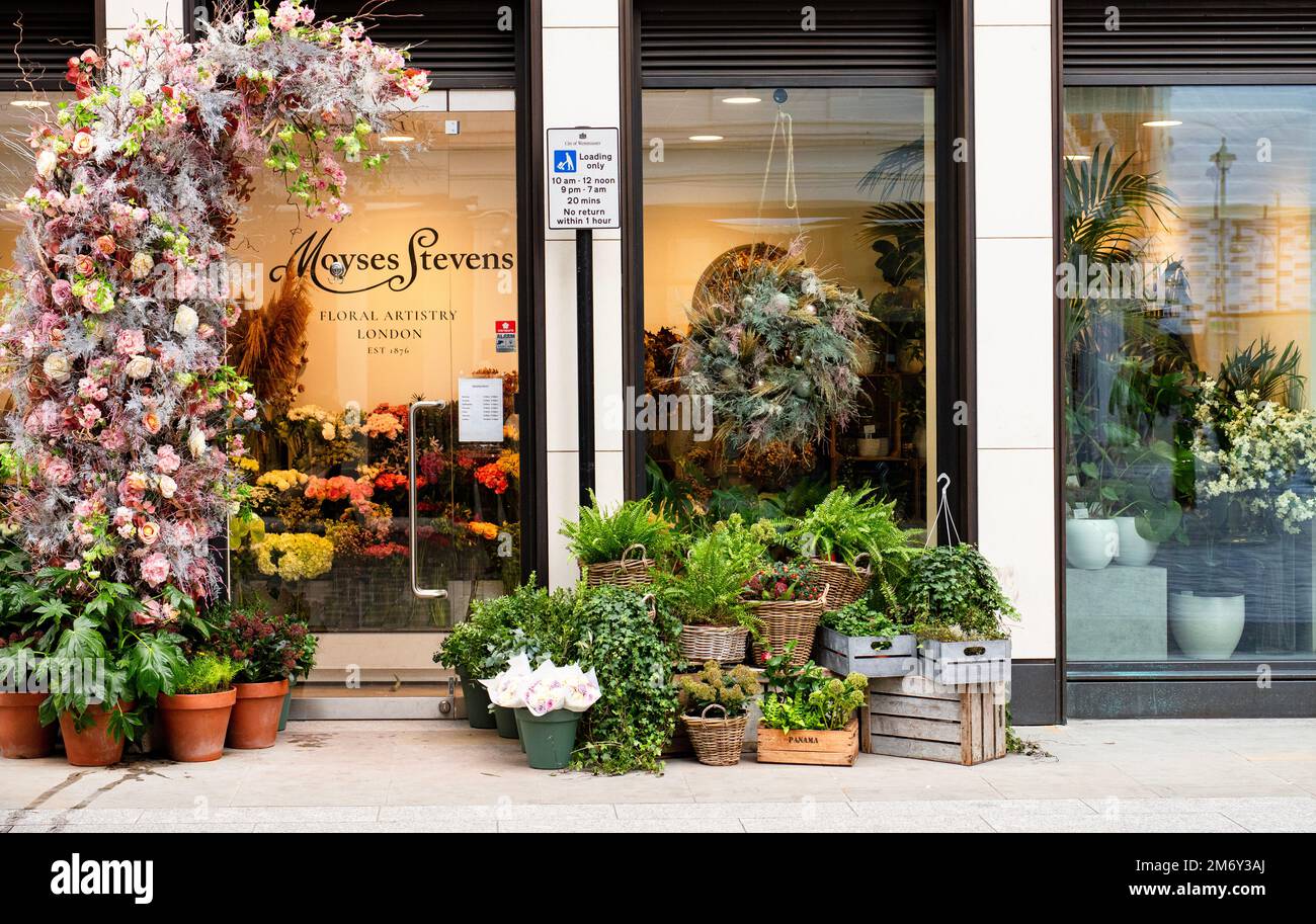 Moyses Stevens, an upmarket florist in Tenterden St, Mayfair, London Stock Photo Alamy