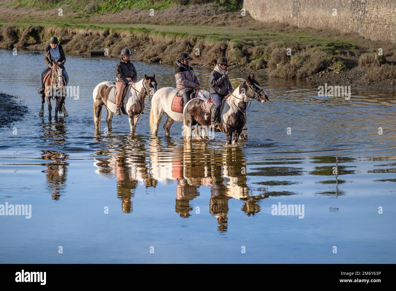 Horse riders riding along the Gannel River in Newquay in Cornwall in
