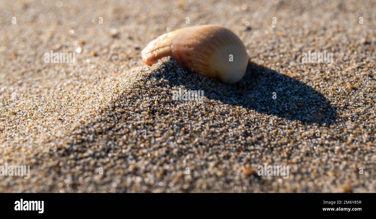 Sand texture and background.Sand on the beach in the background.Sandy beach for black background.Sand of a beach in summer.Copy space.Summer concept Stock Photo