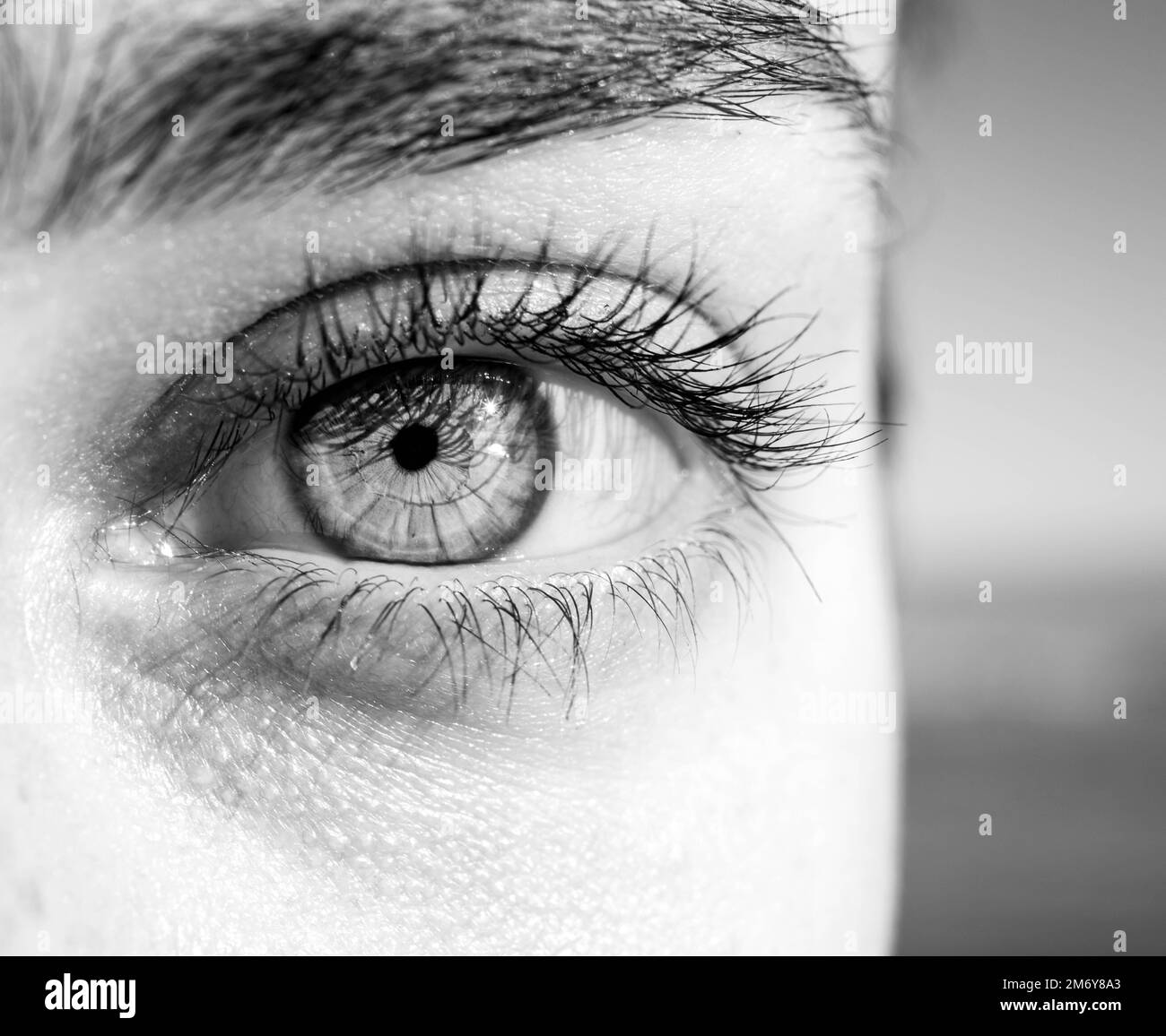 macro photography of a female eye. Human eye texture. eye pupil. Human eyelashes. Brown eye close-up. Eye background. Stock Photo