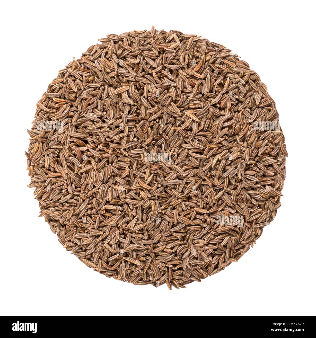 Caraway seeds, circle, close-up isolated from above. Disk made of whole dried fruits of meridian fennel, known as Persian cumin, Carum carvi, a spice. Stock Photo