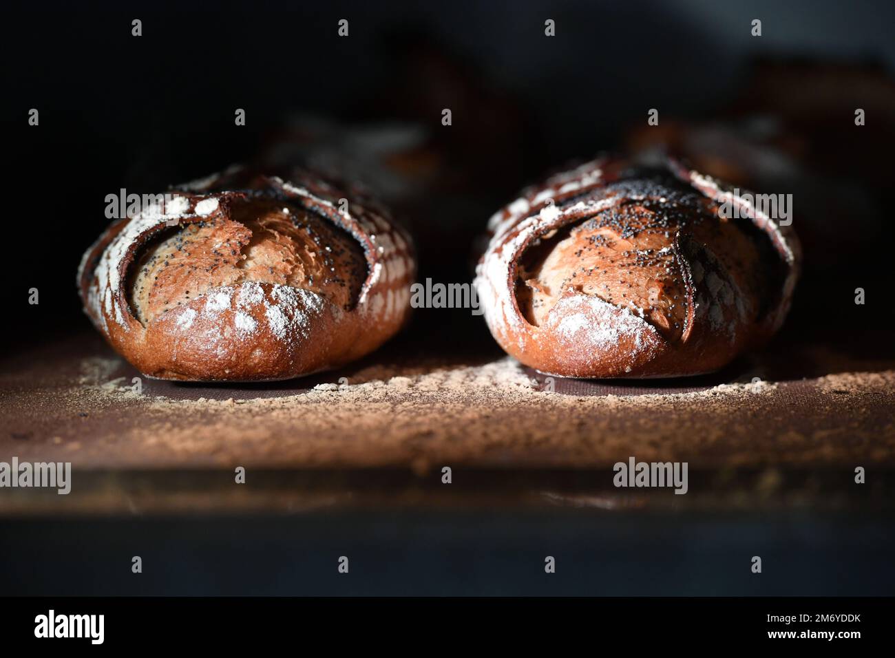 Poppy seeds bread in the baking oven France Stock Photo Alamy