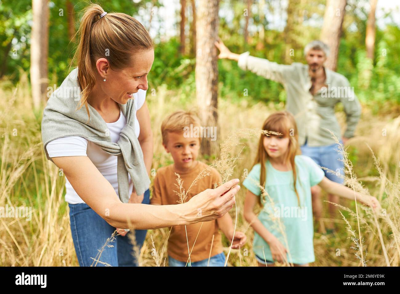 Mother showing plant to daughter and son while hiking in forest during ...
