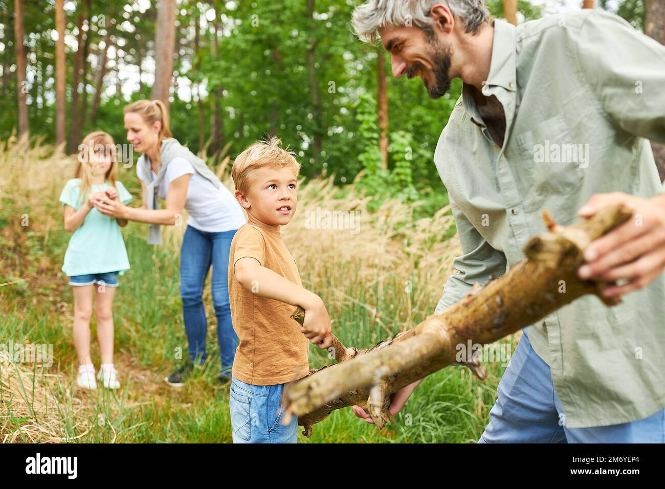 Happy father passing wood to son while camping with family in forest ...