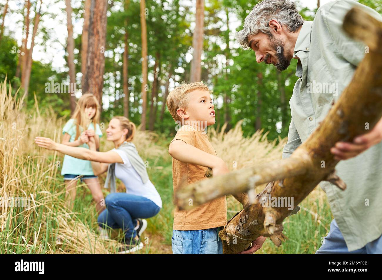 Father passing wood to son while camping in forest during summer ...