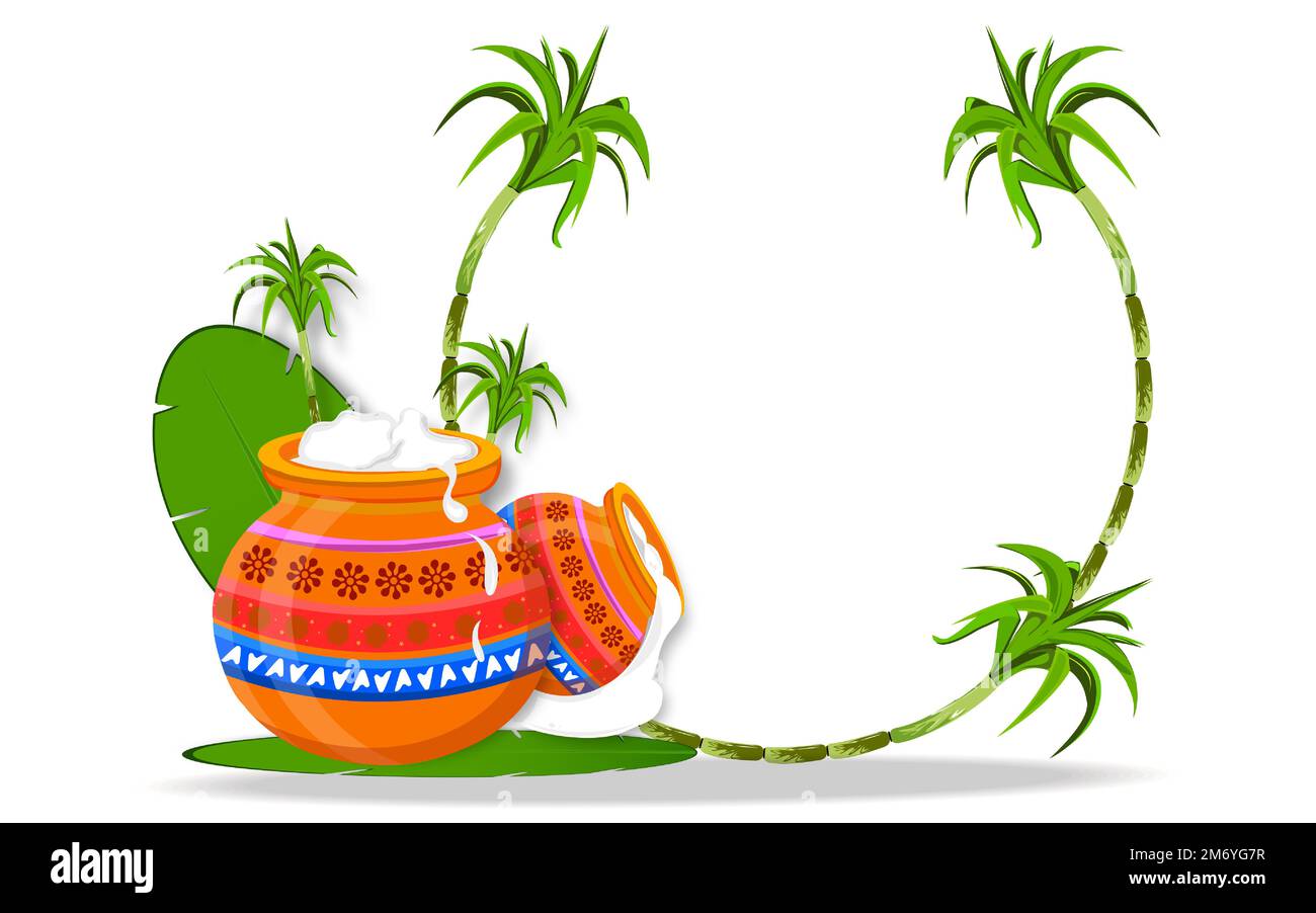 Illustration of beautiful Pongal pot and sugar cane on banana leaf for