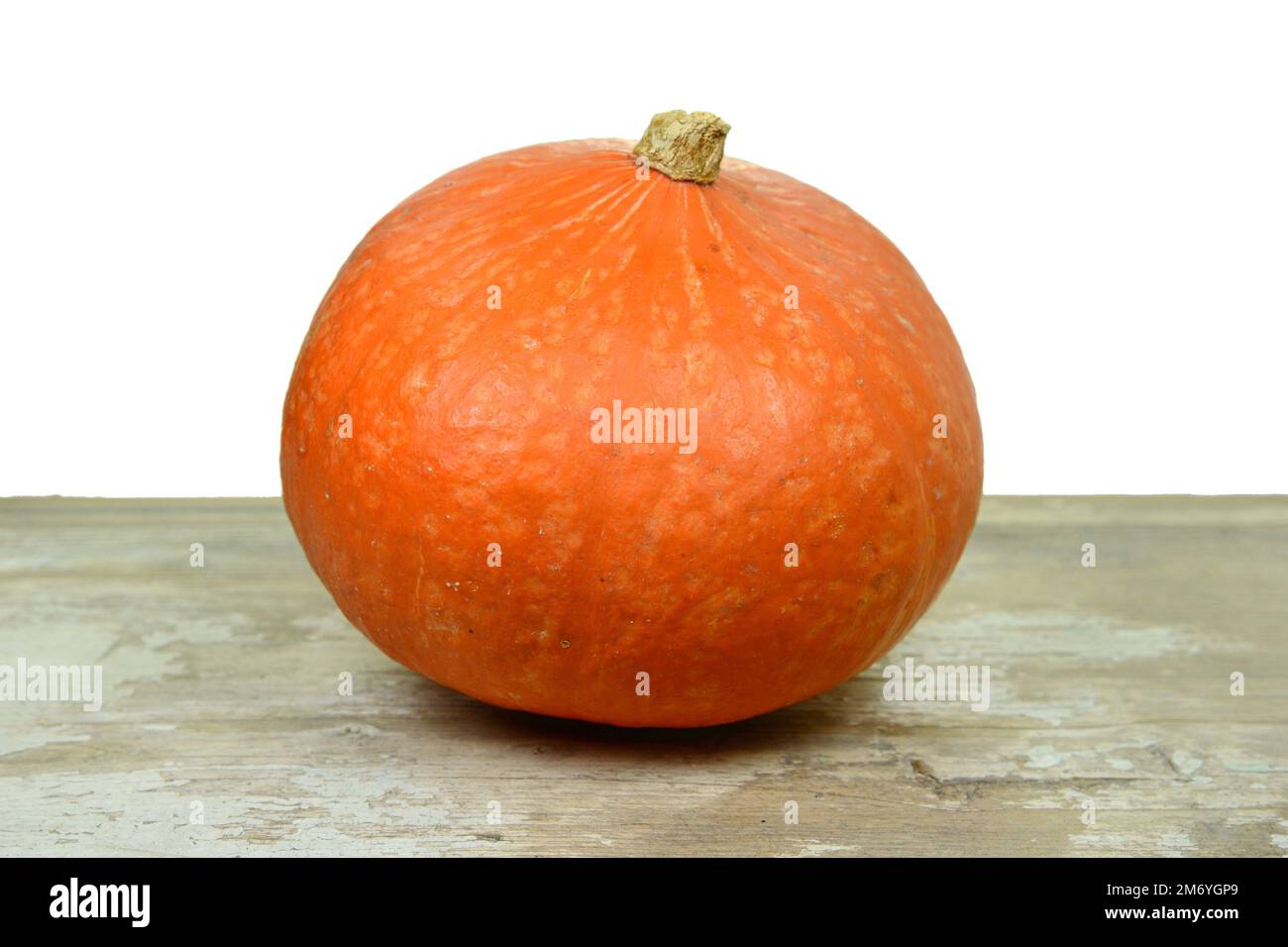 red kuri squash isolated on white background. Fresh red hokkaido ...