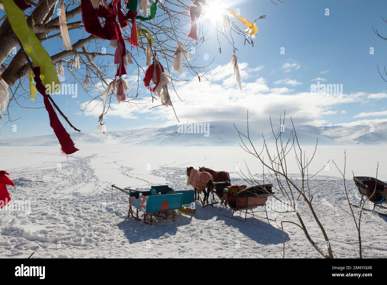 Horse and sled hi-res stock photography and images - Alamy