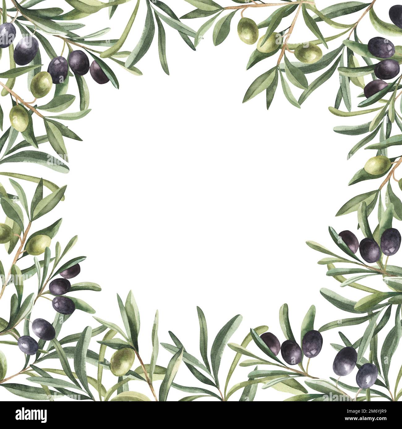 watercolor square frame background with black and green olives and ...
