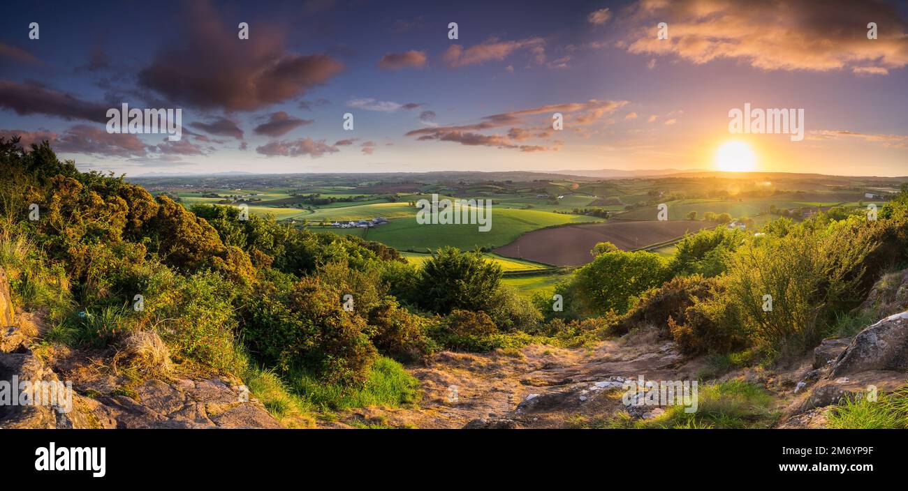 Killynether Wood overlooking fields of North Down & Mourne mountains Stock Photo