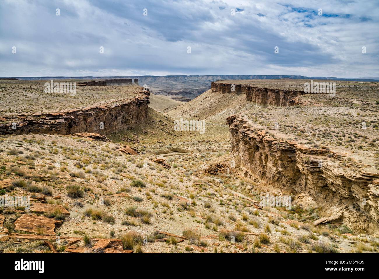 Gully in North Franks Canyon area, leading to Nine Mile Canyon, view from Wrinkle Road, West Tavaputs Plateau, Utah, USA Stock Photo