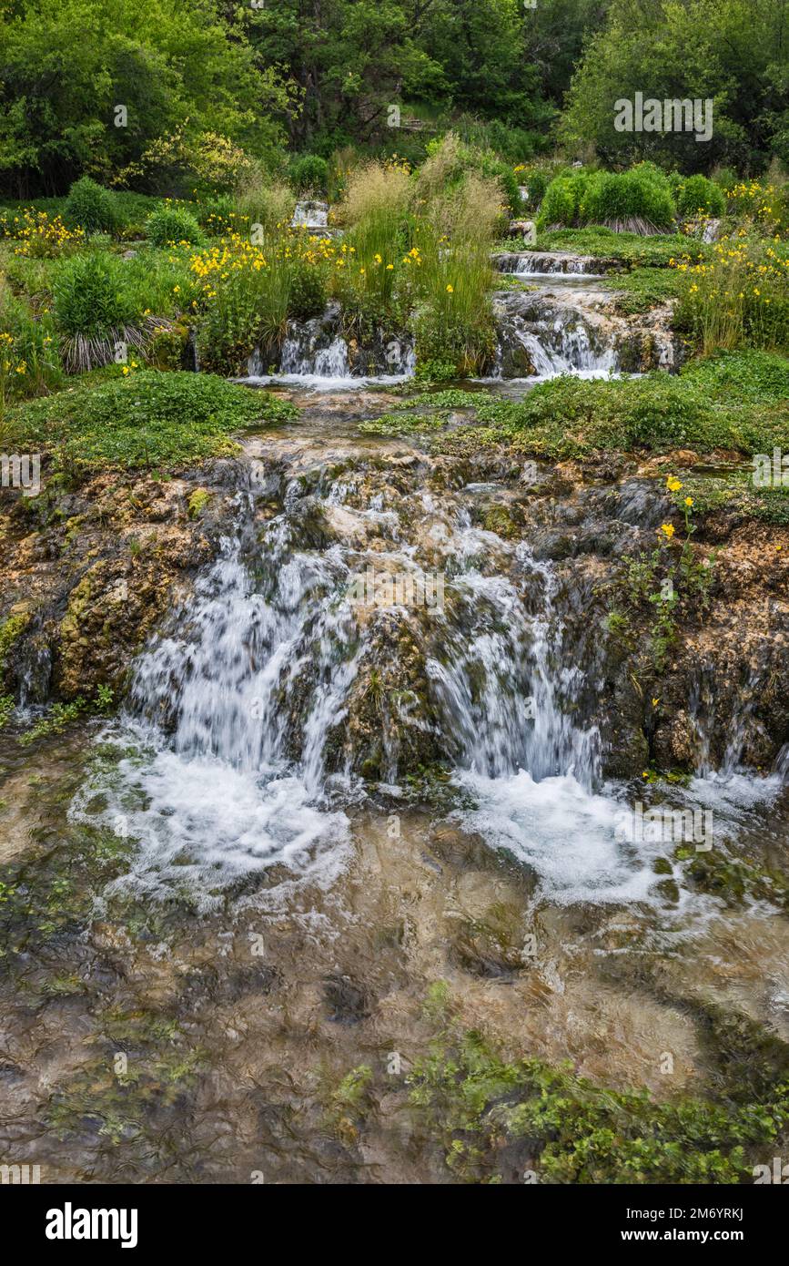 Cascade Springs, Wasatch Mountains, near Midway, Utah, USA Stock Photo