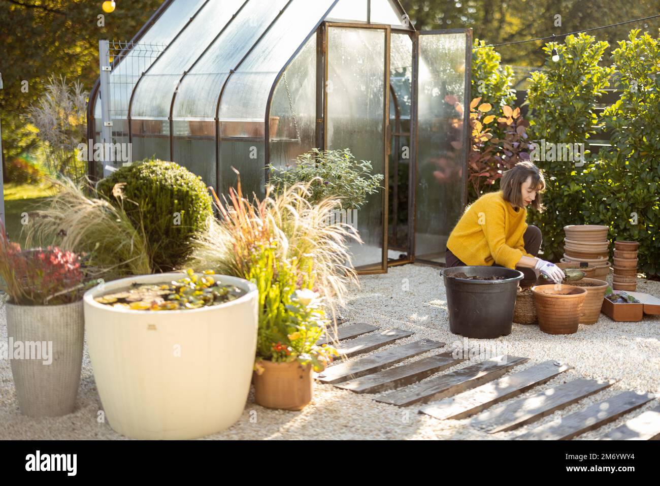 Woman planting flowers in jugs at garden Stock Photo - Alamy