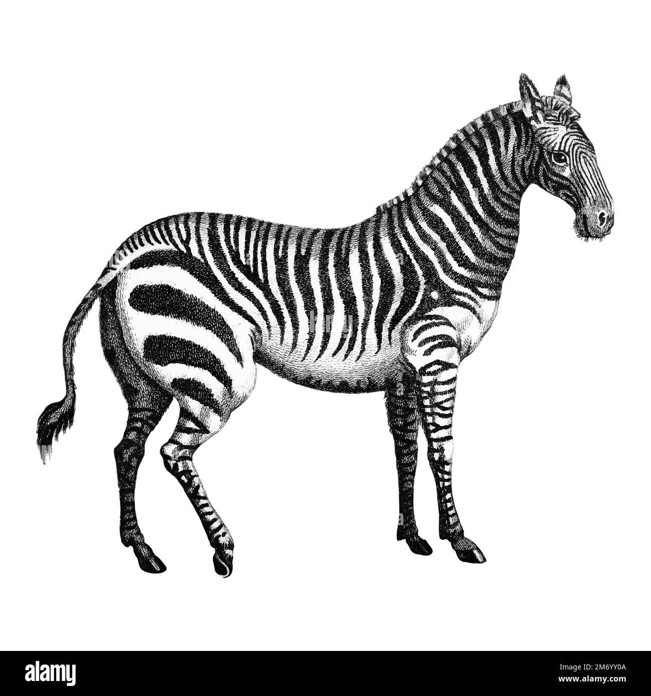 Public lectures Cut Out Stock Images & Pictures Alamy