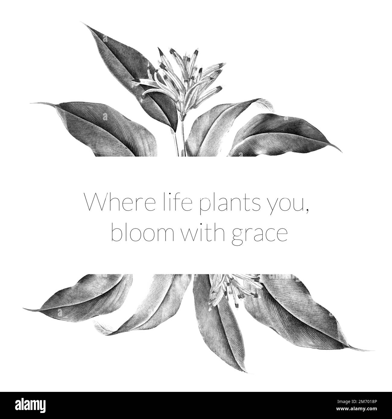 Where life plants you, bloom with grace tropical vintage banner