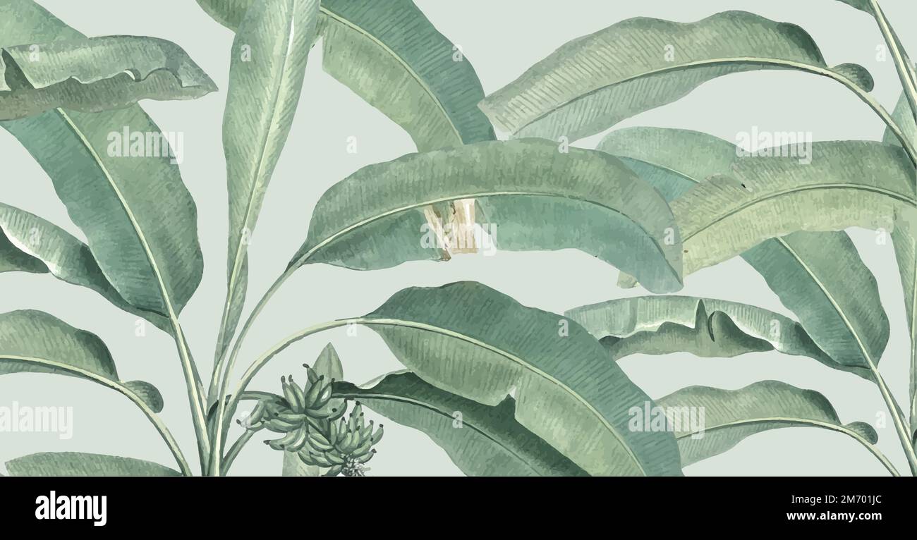 Banana leaf background vintage illustration Stock Vector