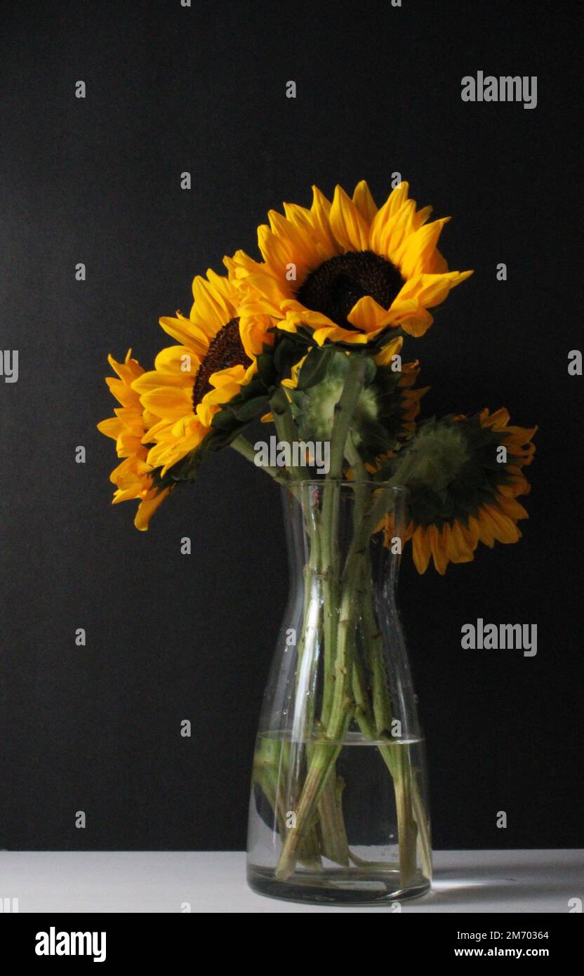 A vertical shot of a bunch of sunflowers in a glass vase on the table ...
