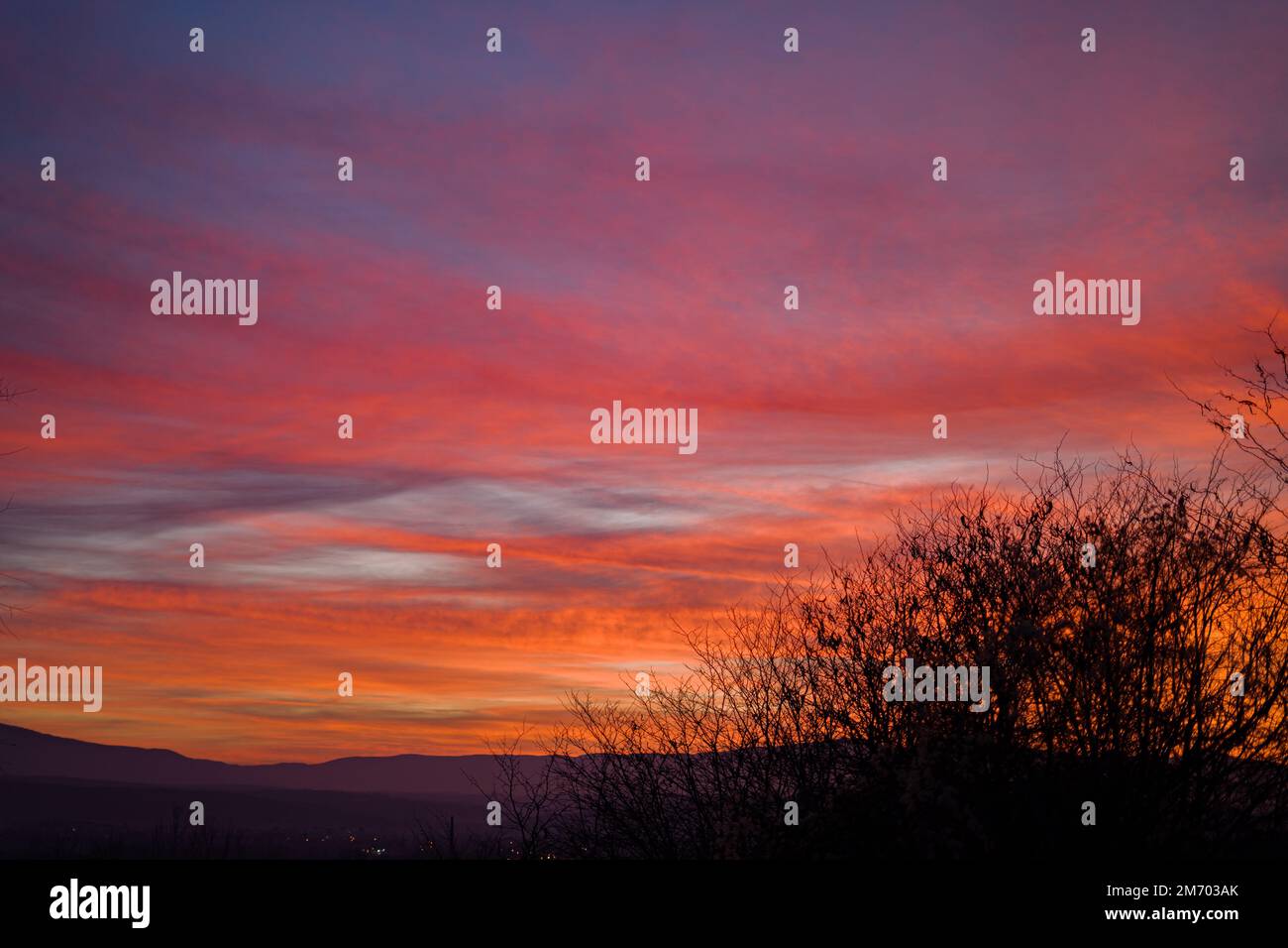 A dramatic sky view at sunset, tree silhouettes against purple clouds ...
