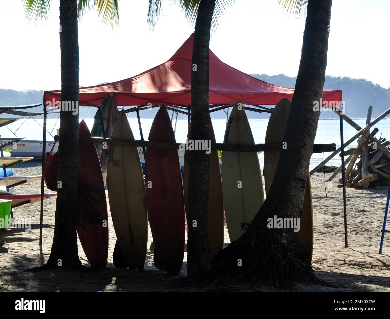 Surfboards that are Backlit by the sun Stock Photo